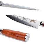 8-inch Gyuto Chef's Knife - Damascus, Bloodwood Handle