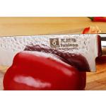 8-inch Gyuto Chef's Knife - Damascus, Bloodwood Handle
