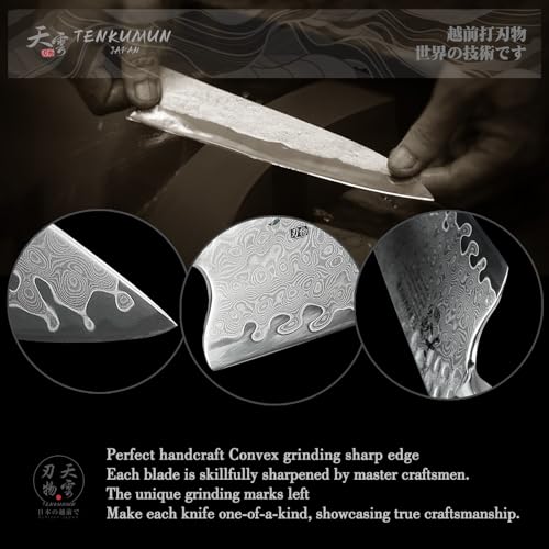 Tenkumun Japanese Gyutou Pro Damascus Chef Knife