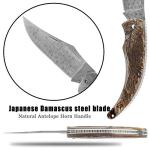 YOUSUNLONG Folding Pocket Knife - Damascus Steel Blade
