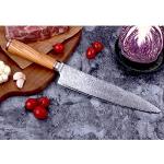 10 Inch Japanese Damascus Chef's Knife with Olive Wood Handle