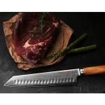 YOUSUNLONG 10" Kiritsuke Chef Knife - Damascus Steel