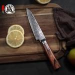 Mitsumoto Sakari 4.5” Damascus Paring Knife