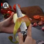 Mitsumoto Sakari 4.5” Damascus Paring Knife