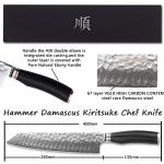 YOUSUNLONG 10 Inch Kiritsuke Chef Knife - Damascus Steel