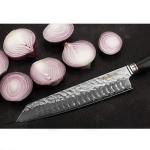YOUSUNLONG 10 Inch Kiritsuke Chef Knife - Damascus Steel