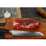 YOUSUNLONG 10 Inch Kiritsuke Chef Knife - Damascus Steel