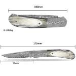 YOUSUNLONG Folding Knife with Damascus Steel Blade
