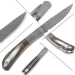 YOUSUNLONG Folding Knife with Damascus Steel Blade