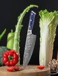 Moritaka Xuan VG10 Damascus Chef Knife - 8