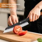 Moritaka Dynasty 9" Kiritsuke Chef Knife