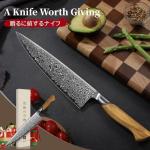 Moritaka TIVOLI 10-Inch VG-10 Gyuto Chef Knife