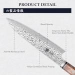 Mitsutomo Sakari 8" Gyuto Chef Knife - AUS-10 Steel