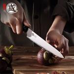 Mitsutomo Sakari Japanese VG-10 Chef Knife Set