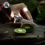 Mitsumoto Sakari 2.68" Folding Knife with Ironwood Handle