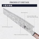 Mitsutomo Sakari 8" Kiritsuke Chef Knife