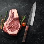 Moritaka 8-Inch Gyuto Chef Knife with Eboy Handle