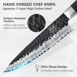 Moritaka 9Cr18MoV High Carbon Gyuto Chef's Knife