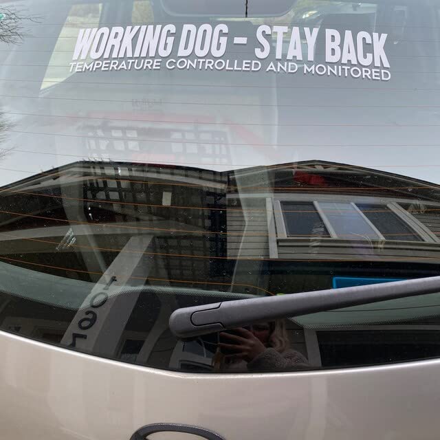 Temperature Controlled Funny Stay Back Dog Decal Sticker
