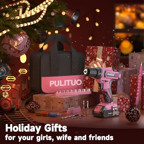 PULITUO 20V Cordless Lithium-ion Drill Driver & Tool Set