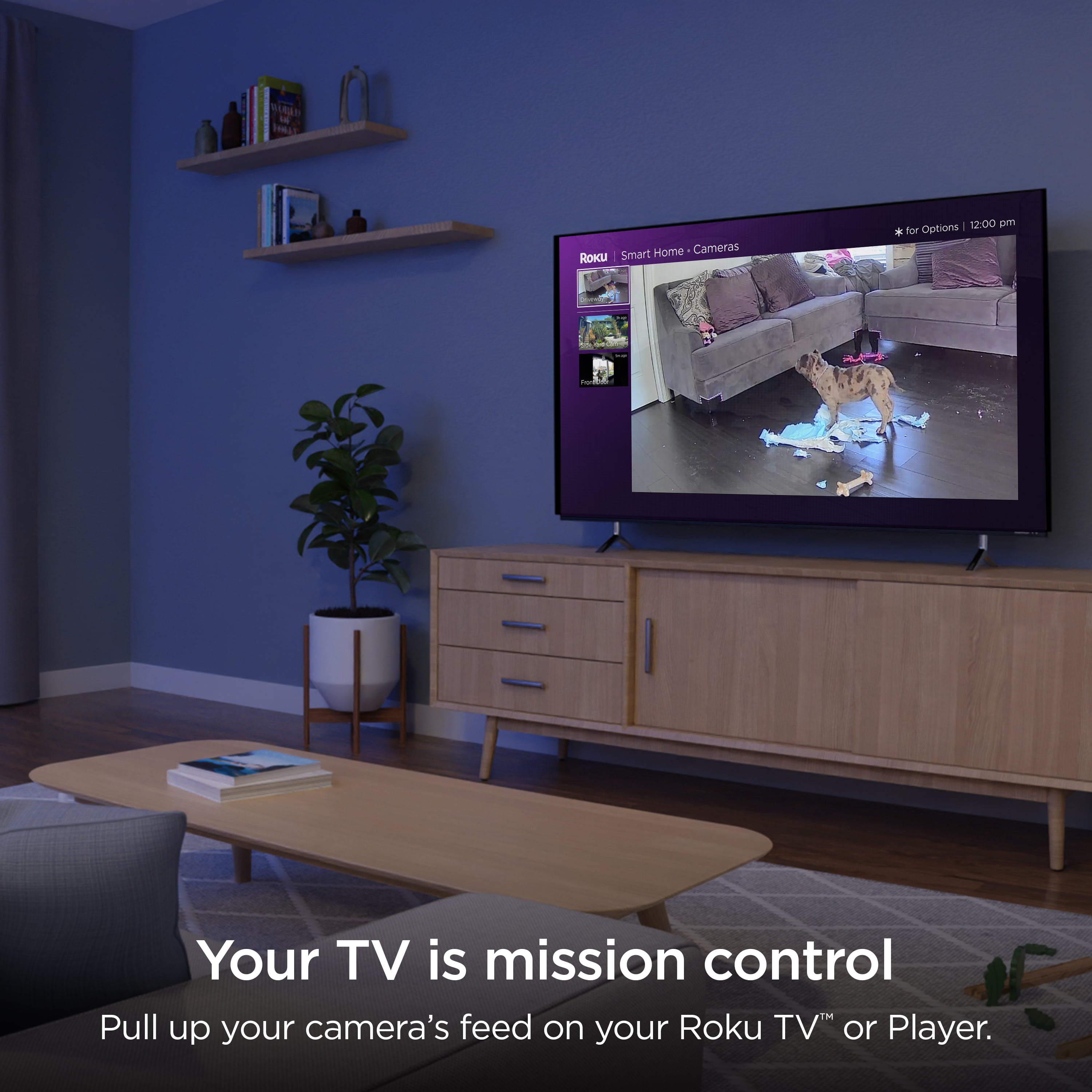 Roku Indoor Security Camera with Wi-Fi Connectivity