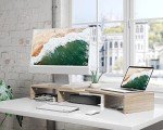 FITUEYES Dual Monitor Stand with Adjustable Shelves