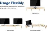 FITUEYES Dual Monitor Stand with Adjustable Shelves