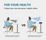 FITUEYES Dual Monitor Stand with Adjustable Shelves