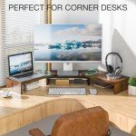 Adjustable Dual Monitor Stand with Riser Shelf