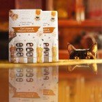 Cat Lover Webcam Cover - Perfect Gift Idea