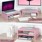 TEAMIX Adjustable Dual Monitor Stand, Pink, 2-Pack