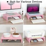 TEAMIX Adjustable Dual Monitor Stand, Pink, 2-Pack