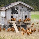 Solar Powered Exhaust Fan Kit for Home Use