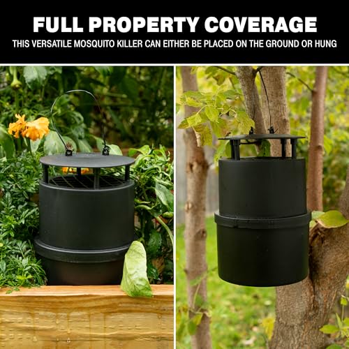 Oasis Ovi-Mini Mosquito Trap 4 Pack - Pet Safe