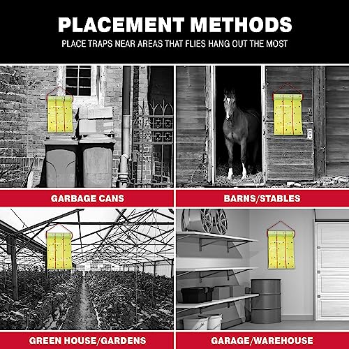 Giant Fly Glue Trap - Bulk Pack Outdoor