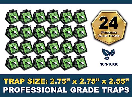 Non-Toxic MaxGuard Bed Bug Traps (24) - Kills Insects