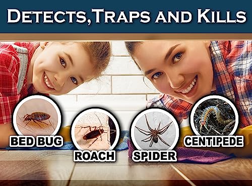 Non-Toxic MaxGuard Bed Bug Traps (24) - Kills Insects