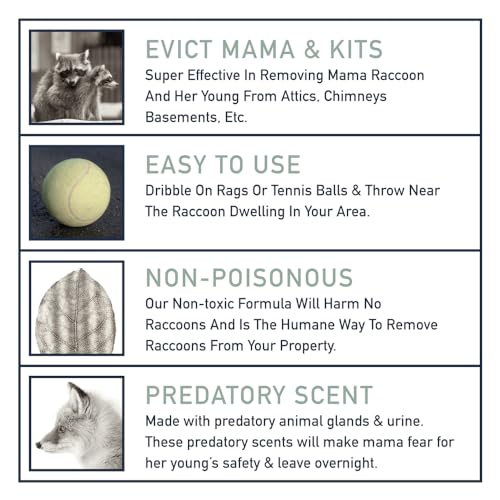 Raccoon Eviction Fluid - Non-Toxic & Effective