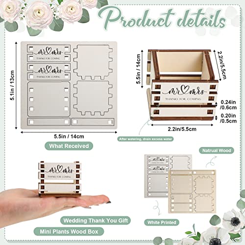 50-Piece Mini Succulent Pot Set for Wedding Decor