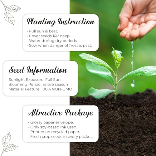 Love & Laughter Wildflower Seed Packets - Wedding Favor