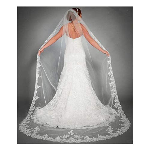 Long Lace Cathedral Veil with Comb for Bride