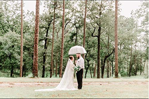 Long Lace Cathedral Veil with Comb for Bride