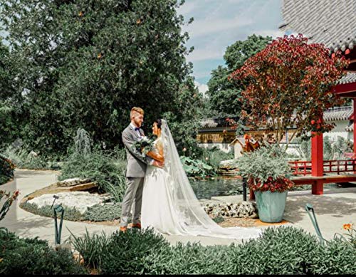 Long Lace Cathedral Veil with Comb for Bride