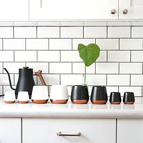 Fellow Joey Double Wall Ceramic Coffee Mug - Matte White