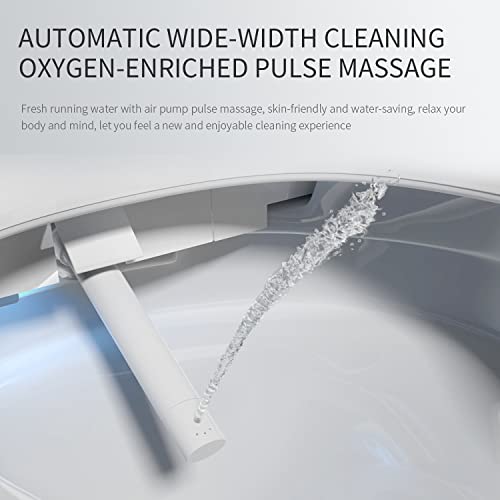 LEIVI Smart Bidet Toilet Seat with Wireless Remote, Multiple Spray Modes