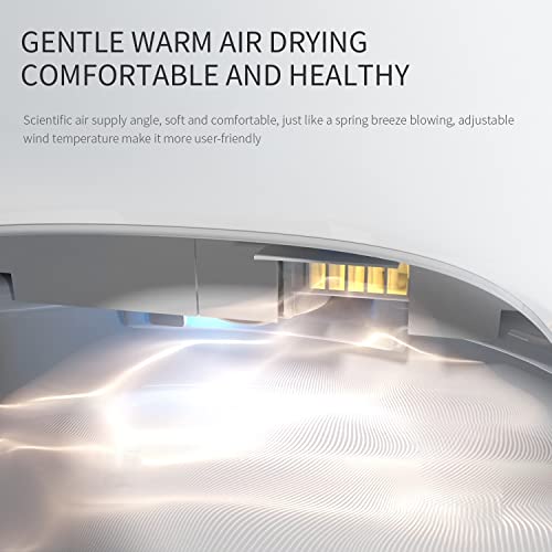 LEIVI Smart Bidet Toilet Seat with Wireless Remote, Multiple Spray Modes