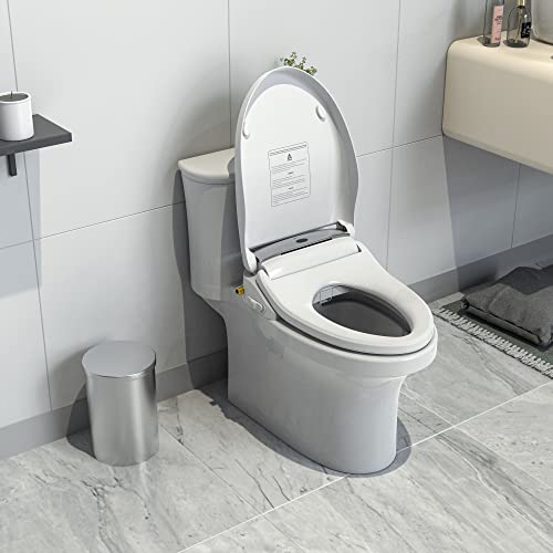 LEIVI Smart Bidet Toilet Seat with Wireless Remote, Multiple Spray Modes