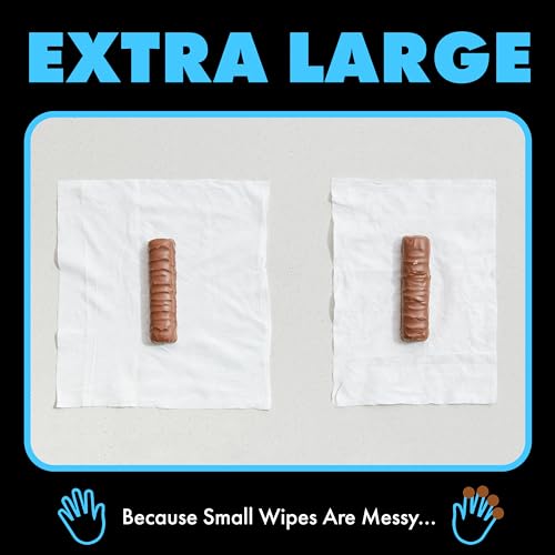 DUDE Flushable Wipes & Toilet Spray Bundle - Unscented