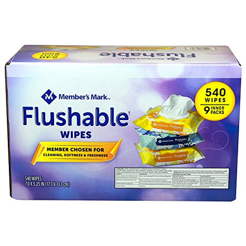 Member's Mark Flushable Wipes 540-Pack