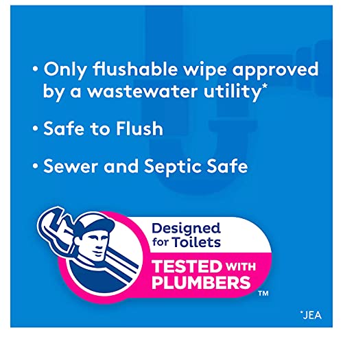 504 Count Cottonelle Fresh Care Flushable Cleansing Cloth